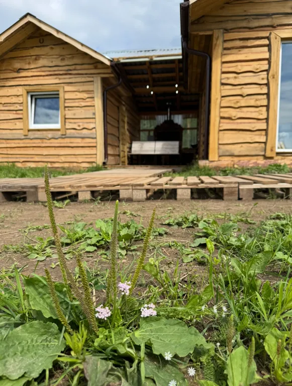 Дом с баней в лесу