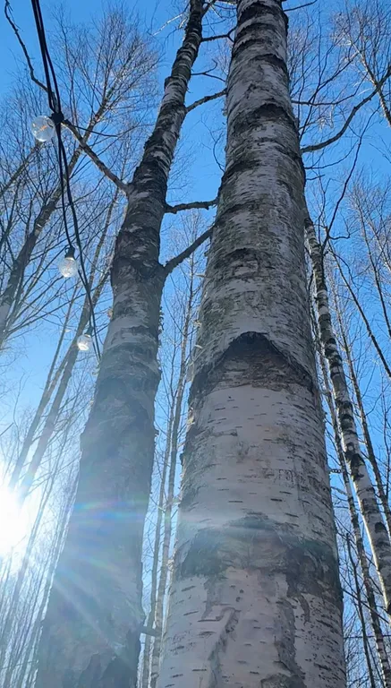 Дом в стиле A-fram