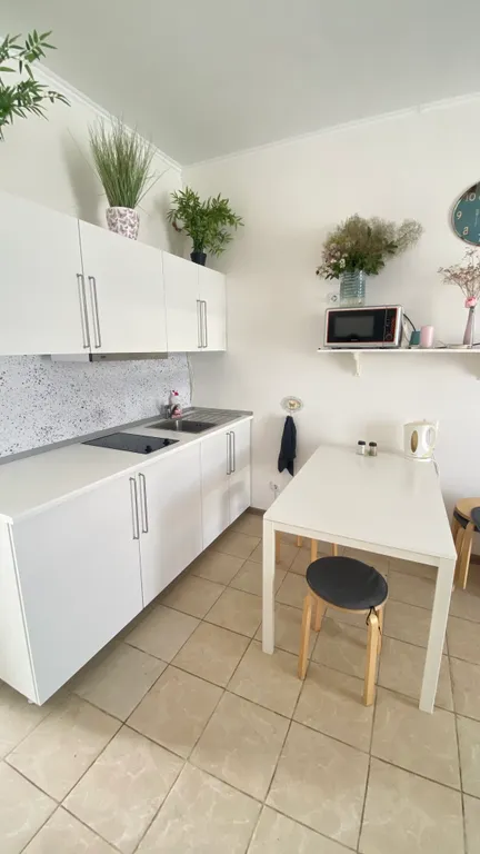 Апартаменты с видом на море Негрустинка