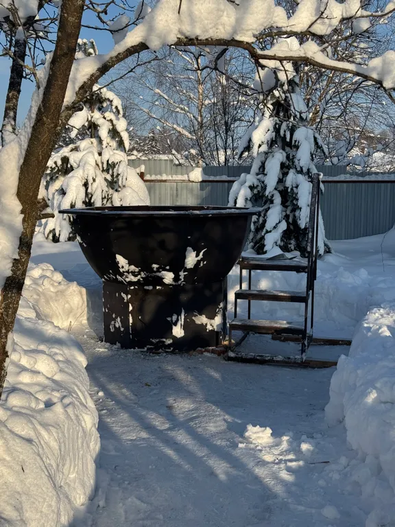 Большой дом с русской баней на дровах и чаном в Зелёном городе