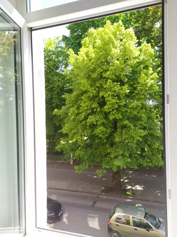 Квартира Квартира на тихой зелёной улице в центре у зоопарка — Калининград