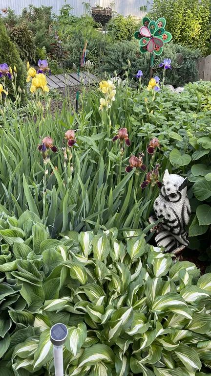 4-комнатный Дом