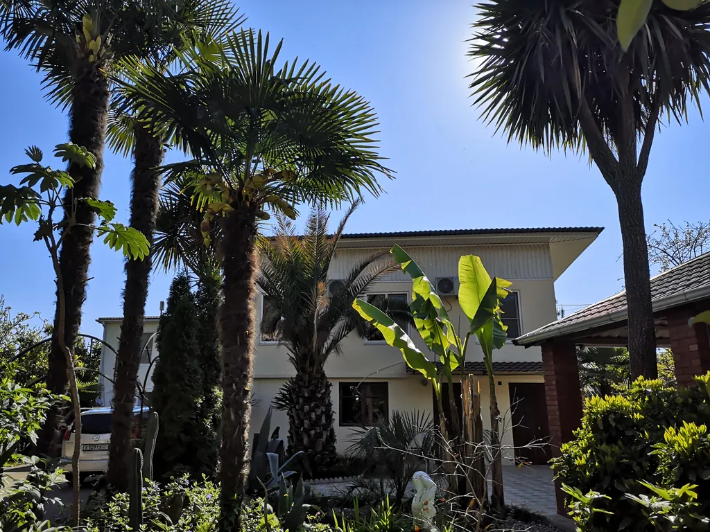 Коттедж 1-комнатный Дом — Гагра