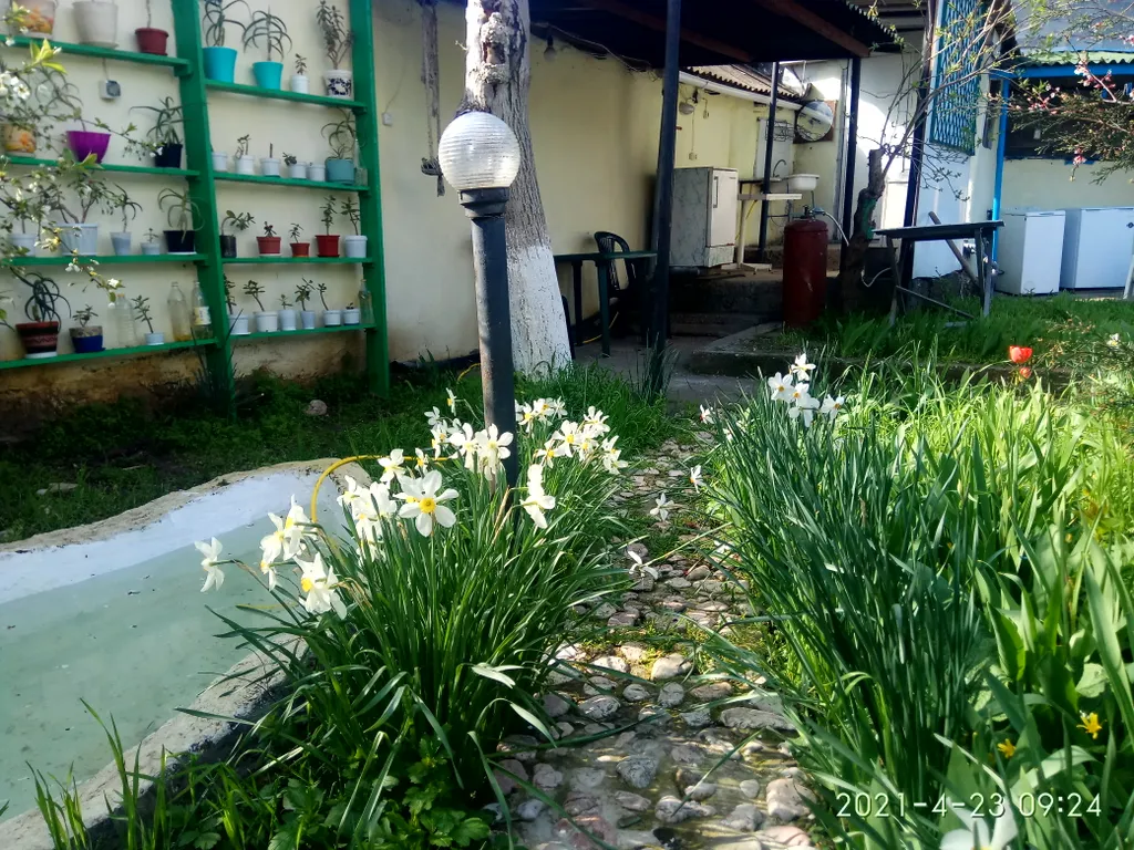 Комната с камином