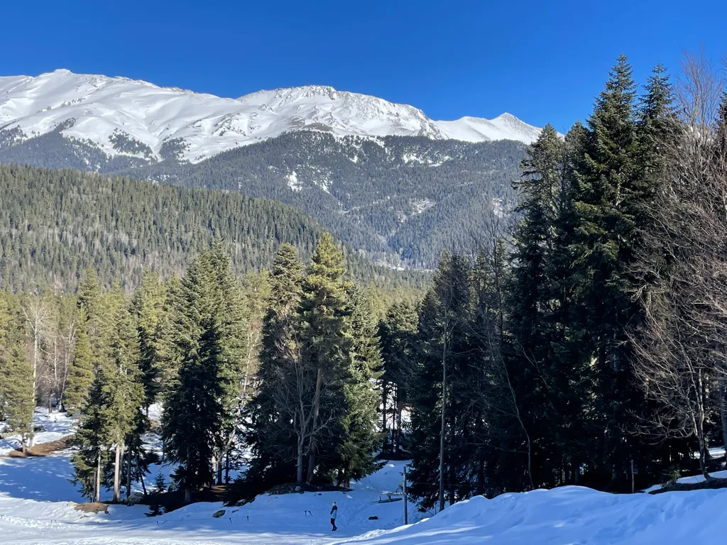 Коттедж Гостевой домик на Софийской поляне — Архыз