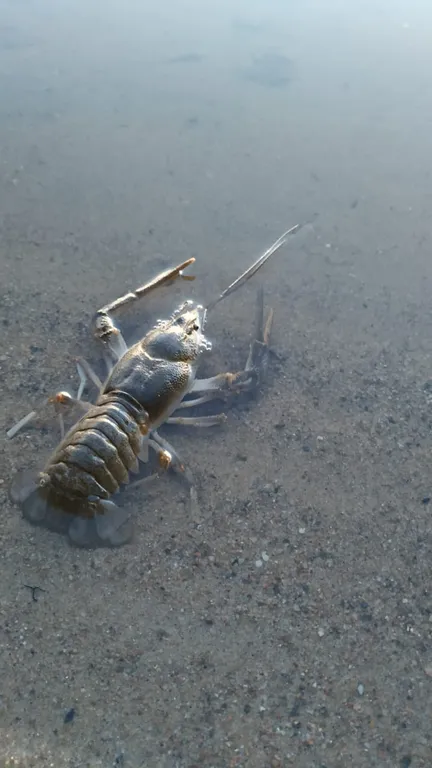 Коттедж на берегу Судаковского озера