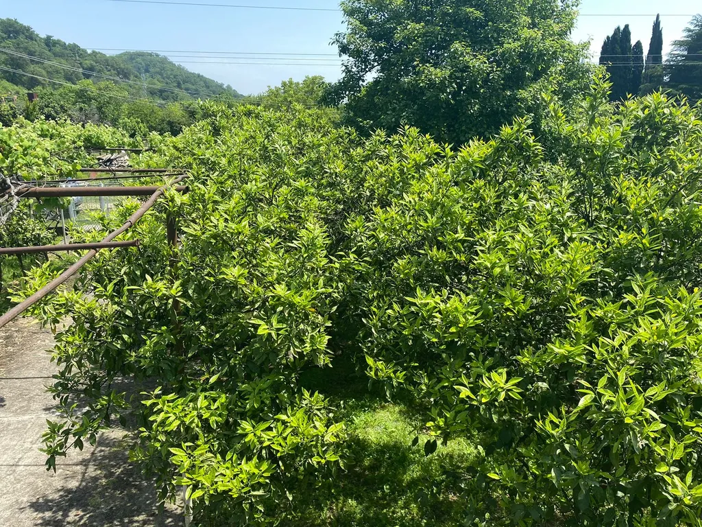 Уютный собственный дом на большую компанию недалеко от моря