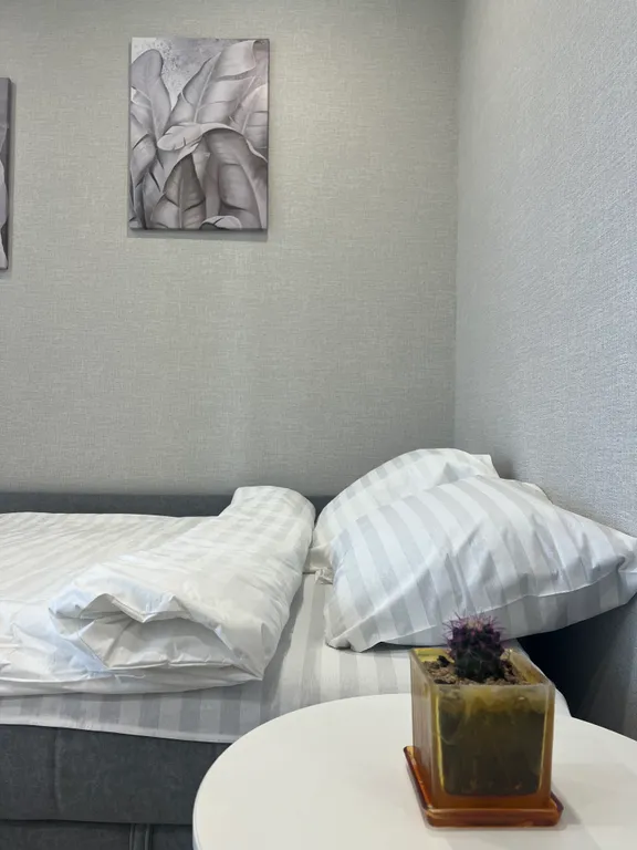 Квартира с видом на Китай