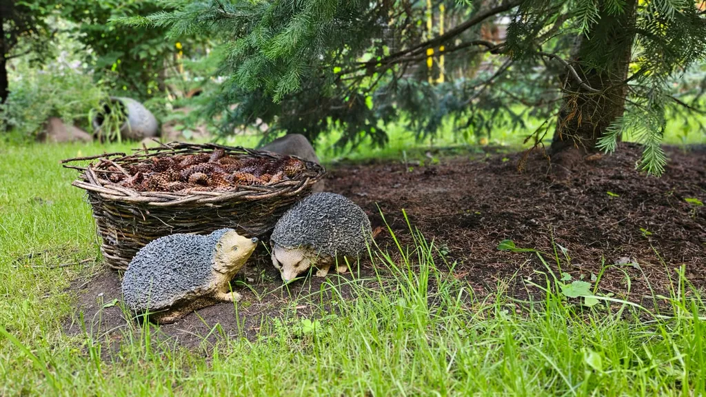 Дом улучшенный