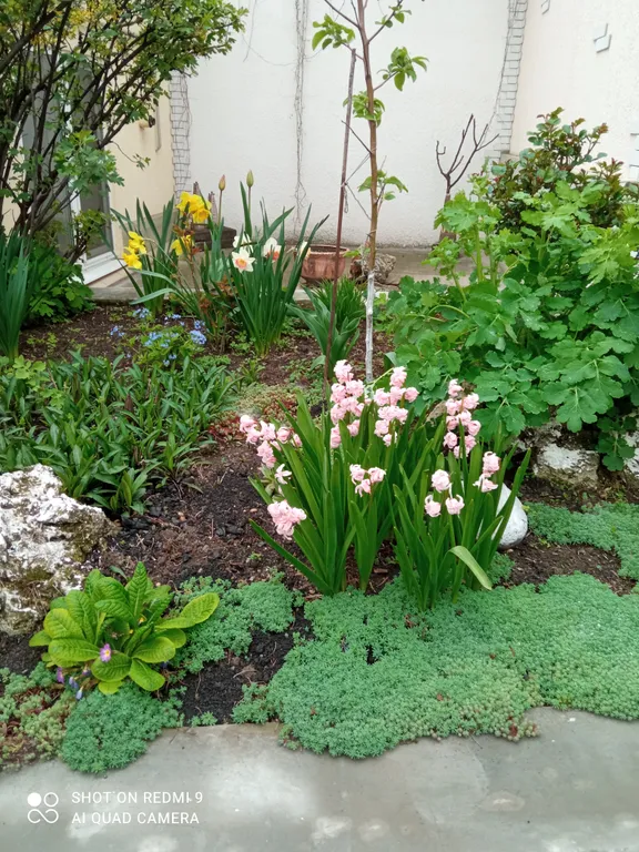 Коттедж Коттедж в центре города — Пятигорск