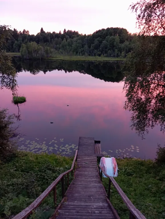 Меличуярви дом из бревна с сауной на берегу озера у самого леса