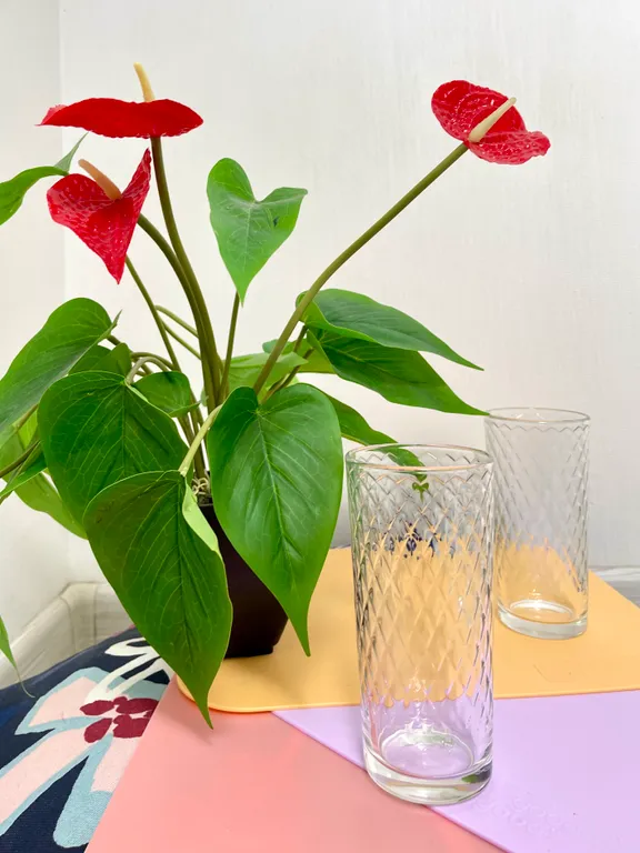 Квартира Квартира Двухуровневая студия в 3 минутах от метро Технологический институт — Санкт-Петербург