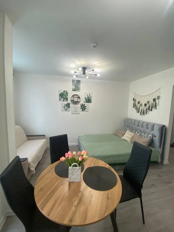 Квартира 1-комнатная Квартира — Бугры