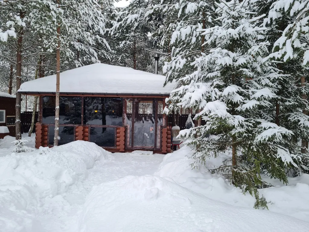 Коттедж Дом в сосновом лесу — аренда посуточно в Ступино