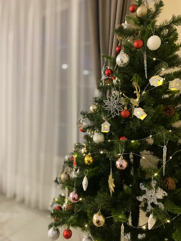 Большой новый дом в черте города