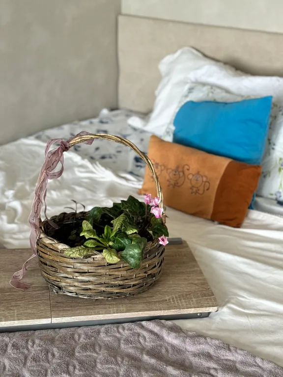 Та самая однокомнатная квартира у пруда на Новогодние праздники