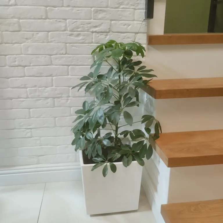 Квартира Квартира Новая красивая и уютная 2-х уровневая студия — Севастополь