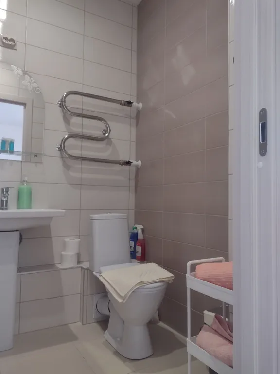 Студия в Цветах-2