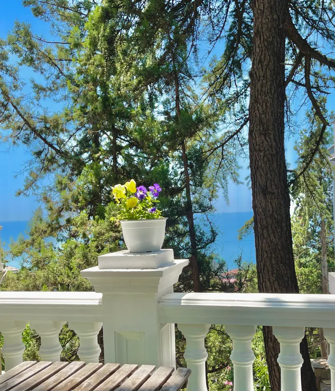 Апартаменты с террасой в тени вековых кедров с видом на море