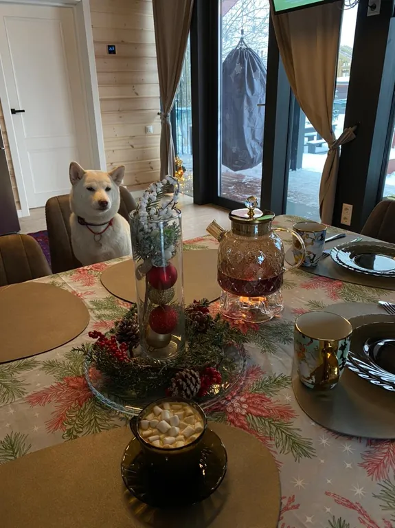 Коттедж недалеко от Москвы