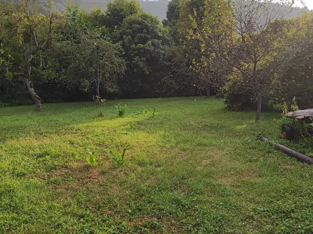 Уютный дом у каньона