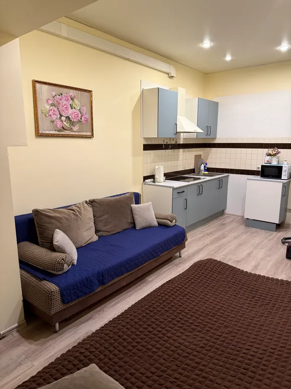 Чистая, уютная квартира, 3 дивана