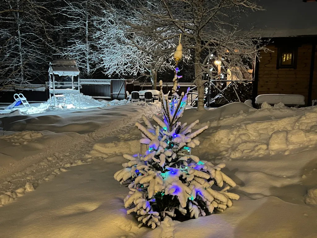 Коттедж Дом с камином, баней-сауной на дровах и купелью — Светлое