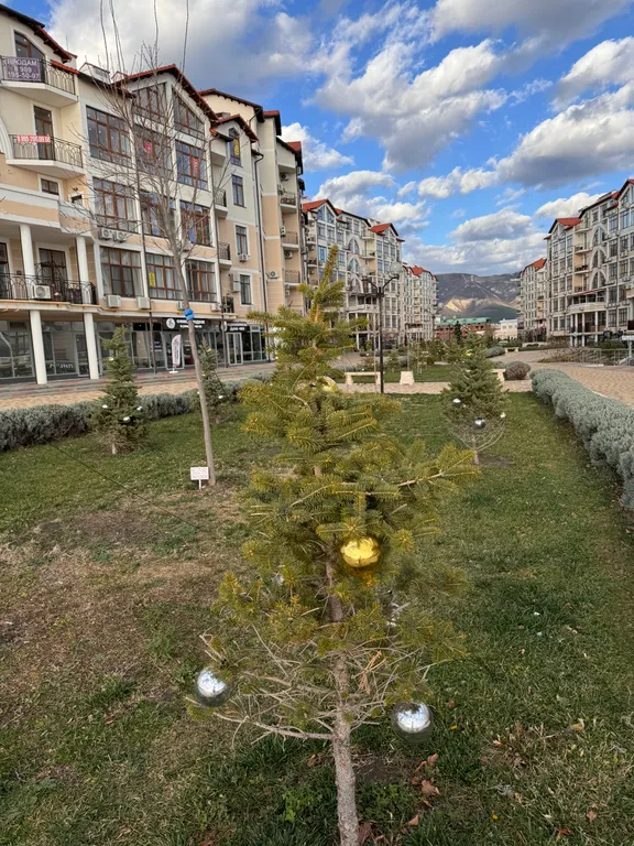 Апартаменты с видом на море