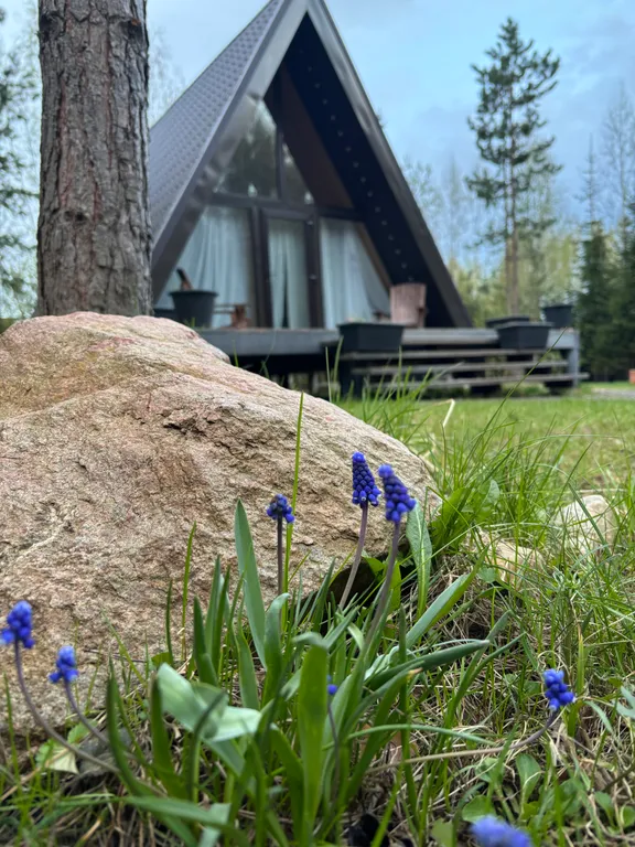 Коттедж Дом у леса для душевного отдыха — Александров