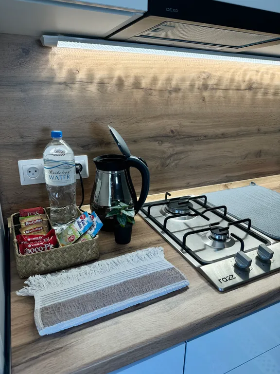 Уютная студия в стиле сканди