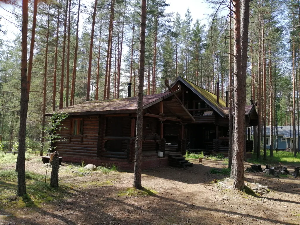 Дом Викинга