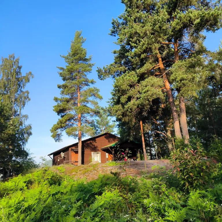 Дом на берегу озера с видом на лес