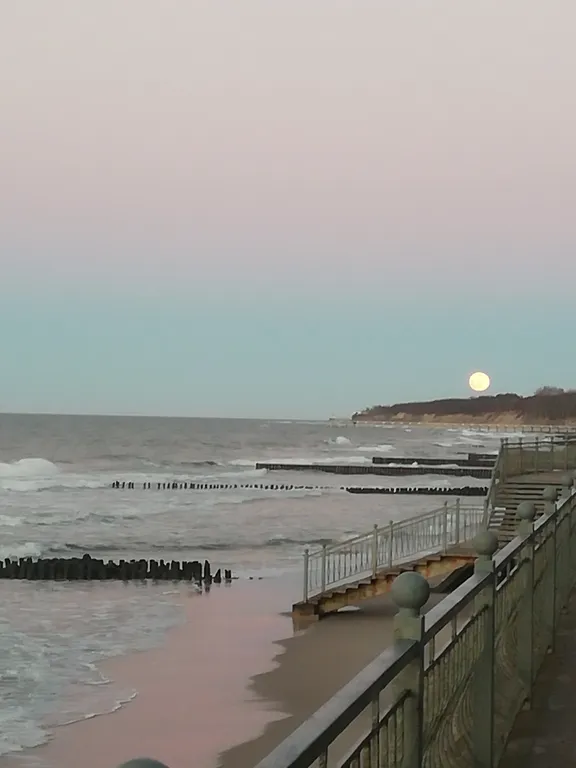 Уютная квартира на морском побережье