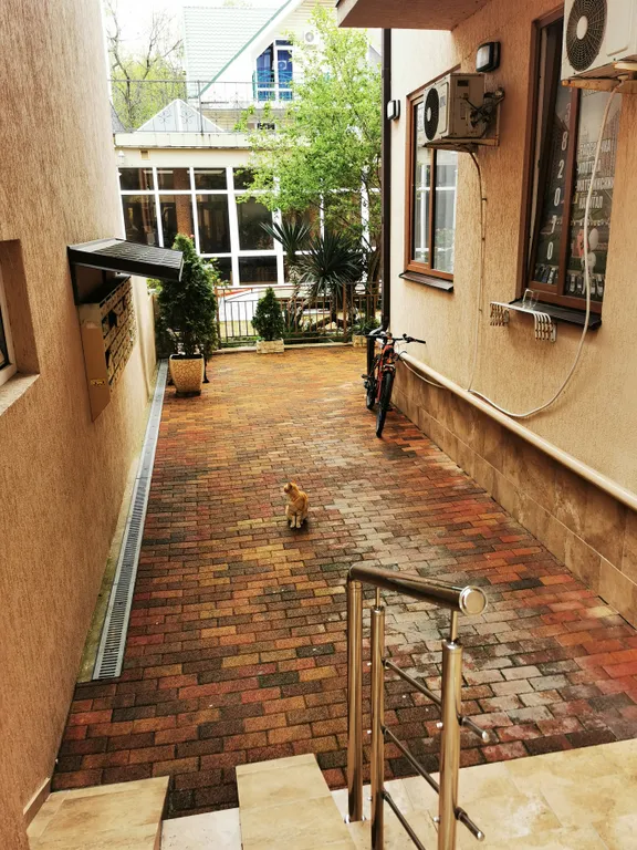 Квартира Квартира в 200 метрах от моря — Сириус