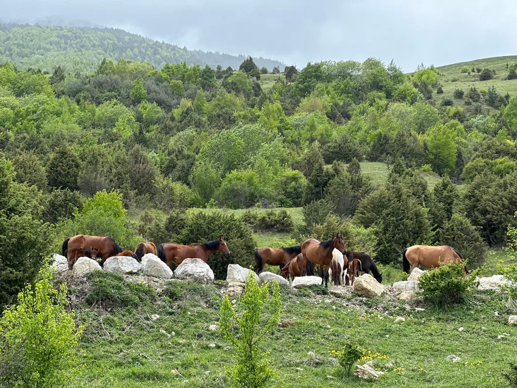 Уютный коттедж в горах Дигорского ущелья