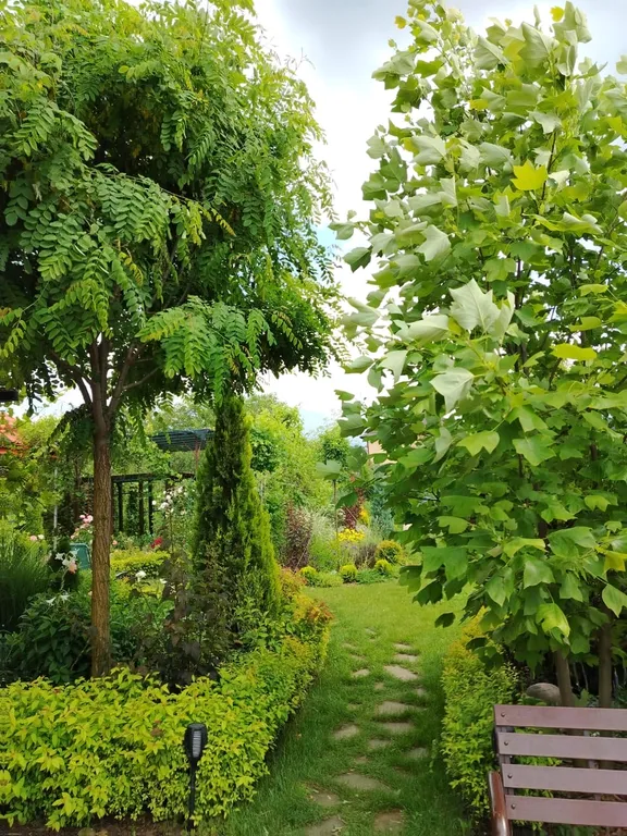 Дача на Юге