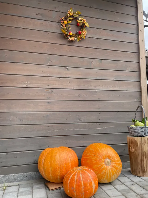 Дом из бревна