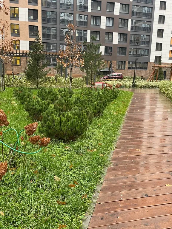 Квартира 1-комнатная Квартира — Санкт-Петербург