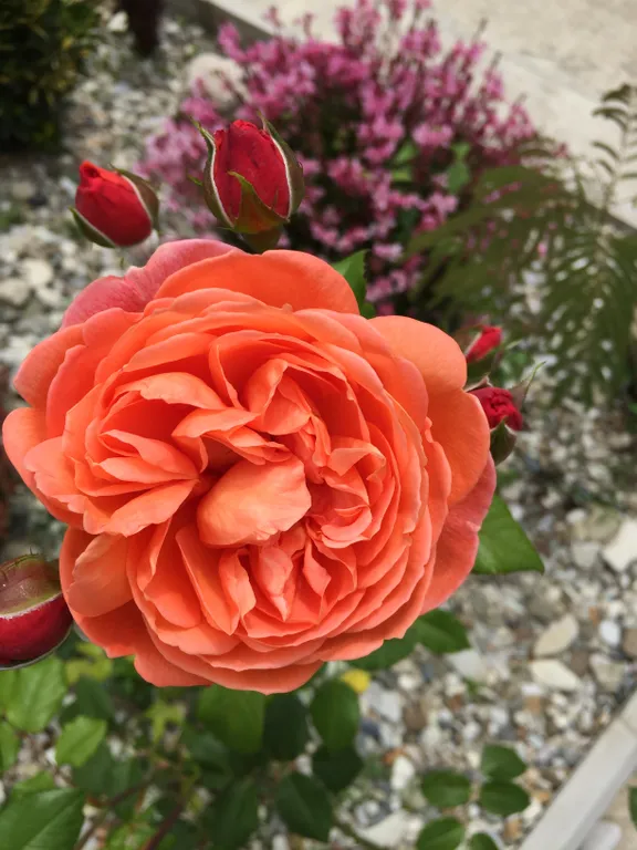 Уютные апартаменты на втором этаже в частном доме