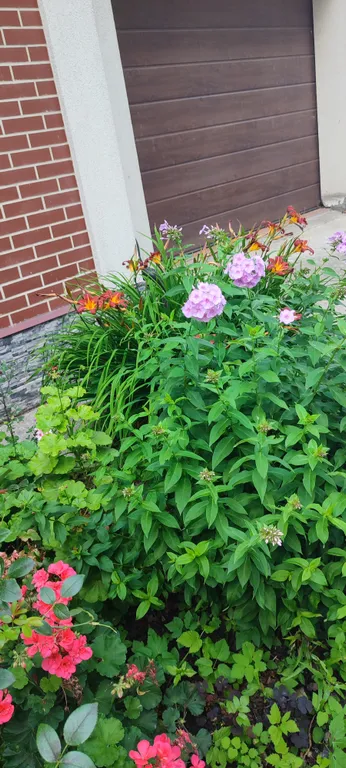 Весь первый уютный этаж с видом на природу