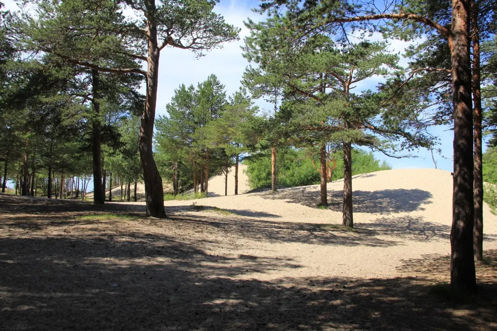 Уютная квартира в ЖК Нахимов рядом со Звёздочкой