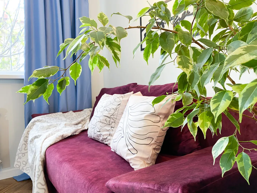 Квартира Стильная квартира в тихом центре — Севастополь