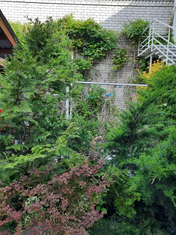 Квартира Квартира Гостевой дом Елизавета — Геленджик