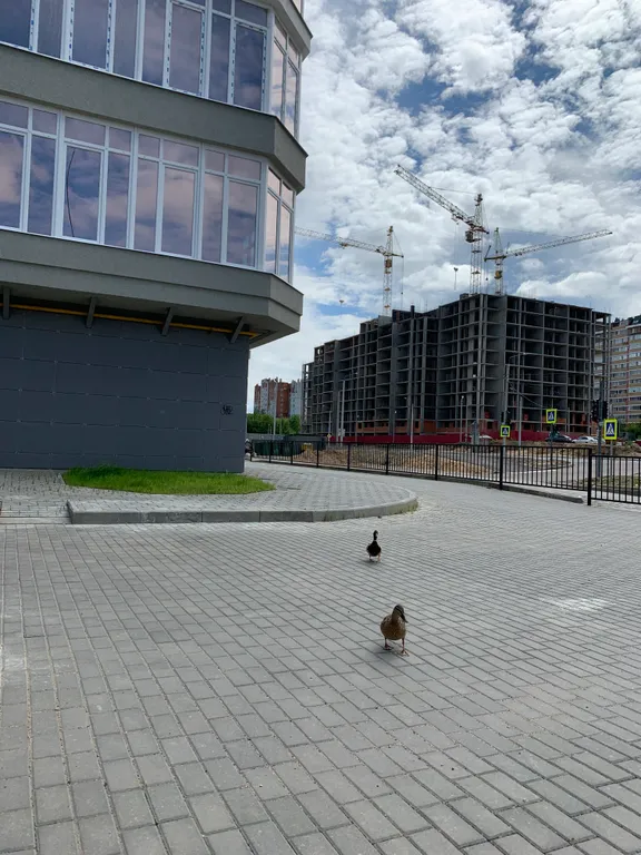 Апартаменты на набережной