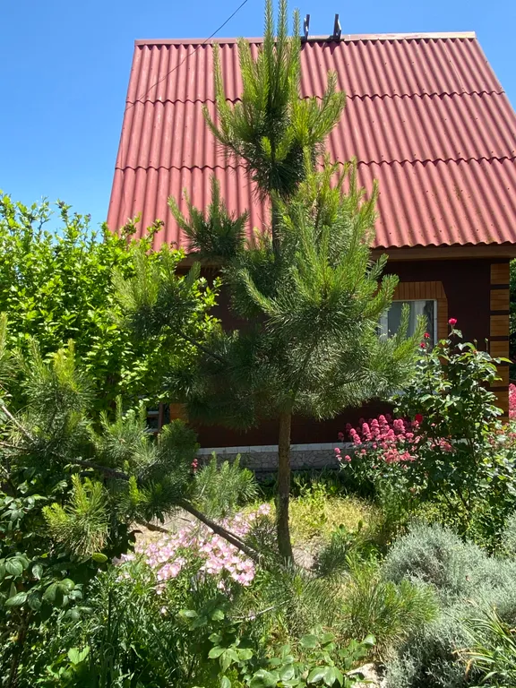 Дом с видом на море