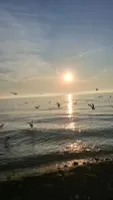 Ольга