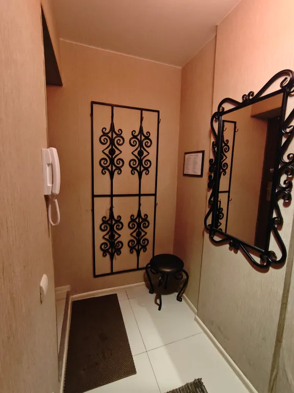 Квартира в центре с кованной кроватью