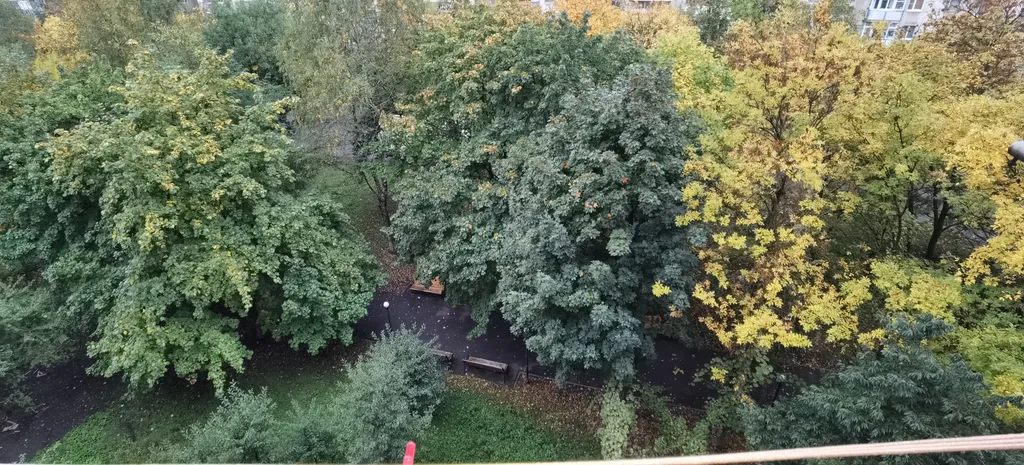 Уютная квартира с новым ремонтом