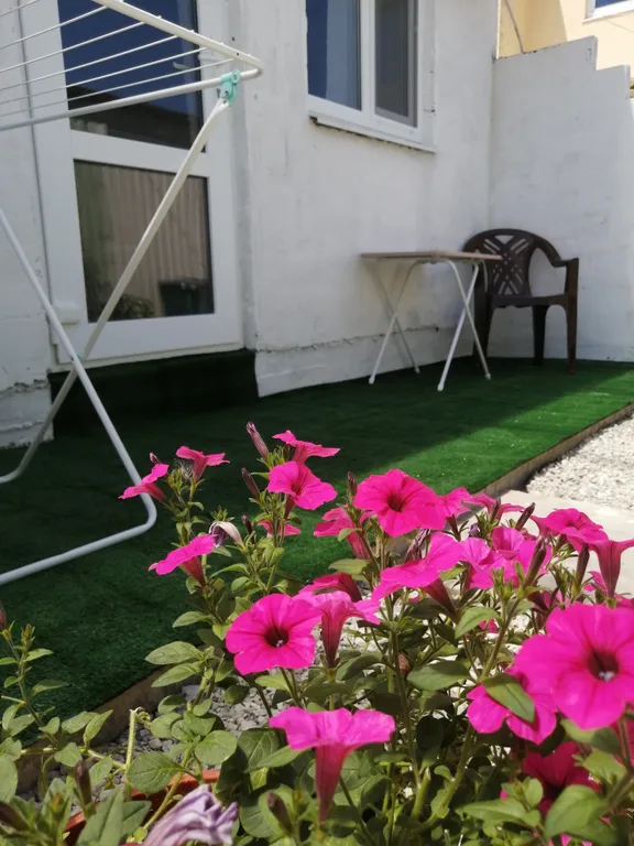 Студия с террасой