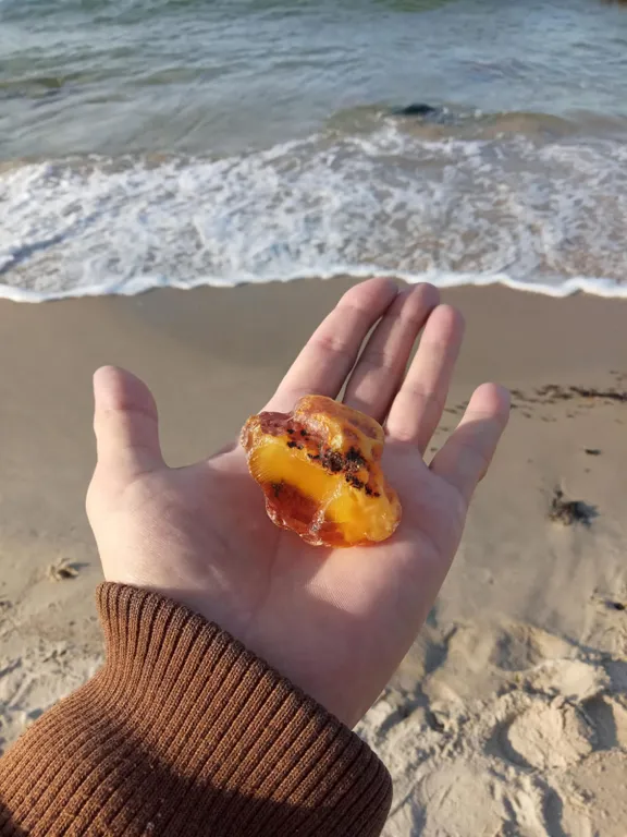 Квартира Квартира Отдых у моря- пляжи Балтики, порт, Пионерский курорт — Пионерский